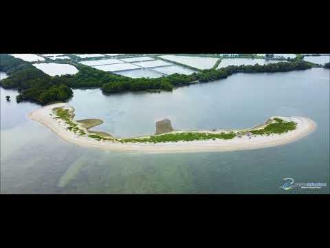 Drone View