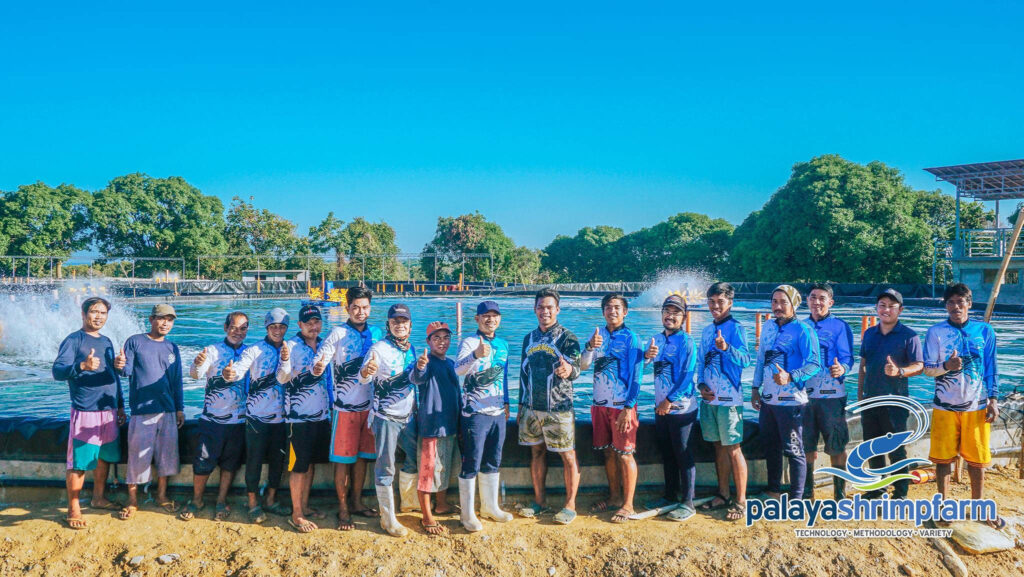 The pond technicians of Palaya shrimp farm